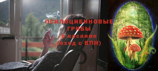 шишки Алексин